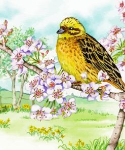 Yellowhammer On Cherry Blossom Paint By Numbers