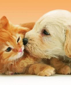 Cute Tabby Kitten And Golden Spaniel Puppy Paint By Numbers