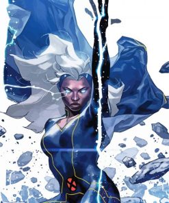 Storm From X Men Paint By Numbers