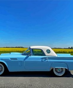 1957 Thunderbird Paint By Numbers