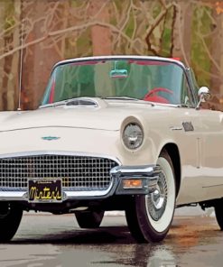 57 Ford Thunderbird Paint By Numbers