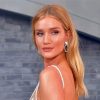 Actress Rosie Huntington Whiteley Paint By Numbers