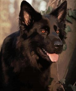 Black German Shepherd Dog Paint By Numbers