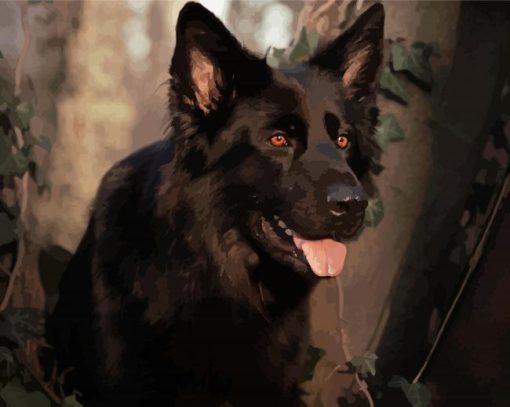 Black German Shepherd Dog Paint By Numbers