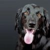 Black Flat Coated Retriever Dog Paint By Numbers