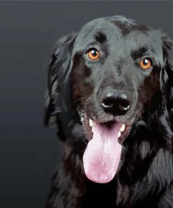 Black Flat Coated Retriever Dog Paint By Numbers