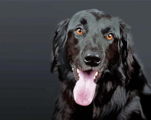 Black Flat Coated Retriever Dog Paint By Numbers