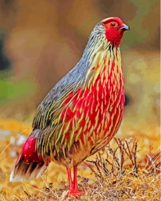 Blood Pheasant Bird Paint By Numbers