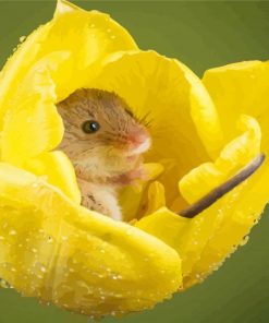 Field Mouse In Yellow Flower Paint By Numbers