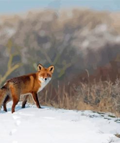 Fox Snow Animal Paint By Numbers