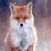 Fox Snow Paint By Numbers