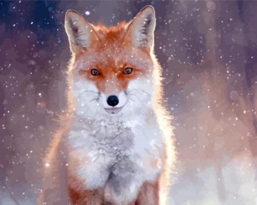 Fox Snow Paint By Numbers