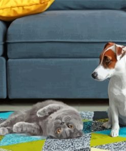 Grey Cat And Jack Russell Paint By Numbers