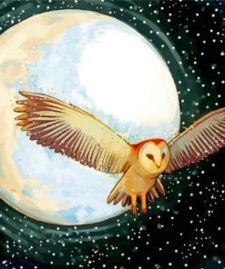 Owl Moon Paint By Numbers