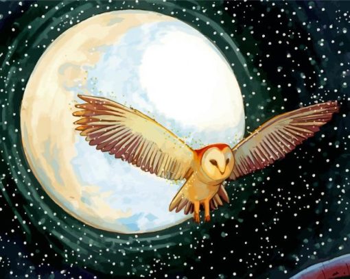 Owl Moon Paint By Numbers