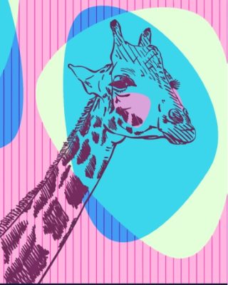 Pink And Blue Giraffe Paint By Numbers