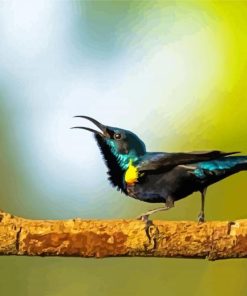 Sunbird On A Tree Paint By Numbers