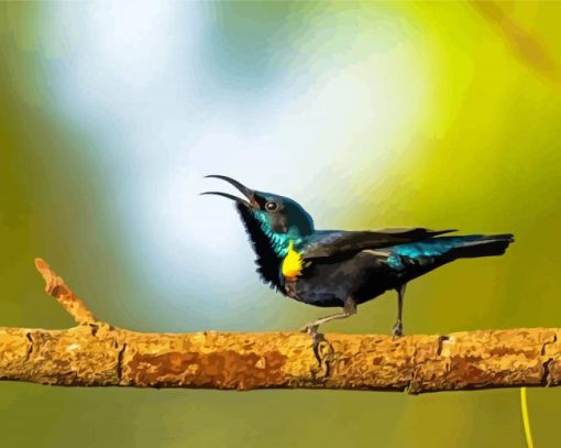 Sunbird On A Tree Paint By Numbers