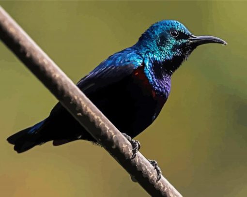 Blue Sunbird Paint By Numbers