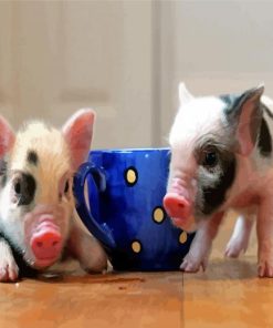 Blue Teacup Pigs Paint By Numbers