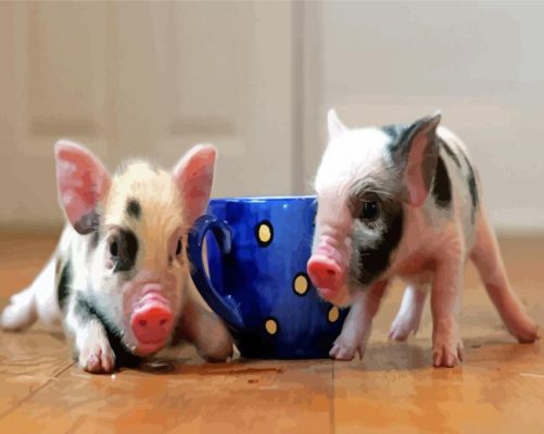 Blue Teacup Pigs Paint By Numbers