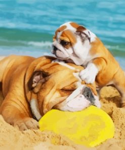 Bulldogs Playing With Frisbee At The Beach Paint By Numbers