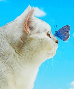 Cool Cat With Butterfly On Nose Paint By Numbers