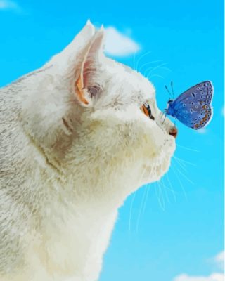 Cool Cat With Butterfly On Nose Paint By Numbers