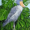 Shoebill Stork Art Paint By Numbers