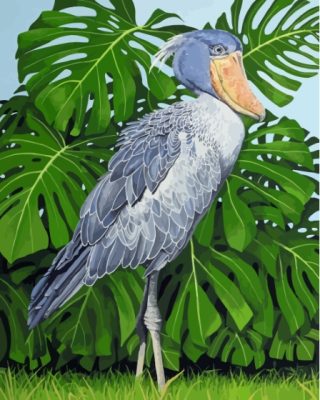 Shoebill Stork Art Paint By Numbers