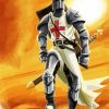 The Knight Templar Paint By Numbers