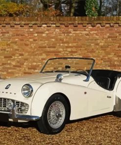 White TR3 Car Paint By Numbers