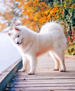 Aesthetic Samoyed Painting By Numbers