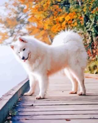 Aesthetic Samoyed Painting By Numbers