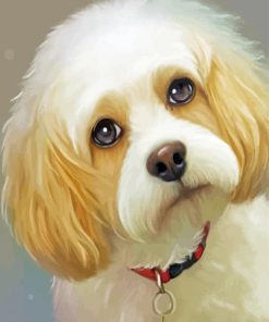 Cute Cavachon Painting By Numbers