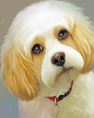 Cute Cavachon Painting By Numbers