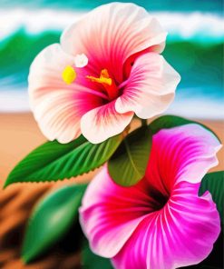 Hawaiian Flowers Painting By Numbers