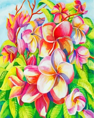 Blooming Frangipani Paint By Numbers